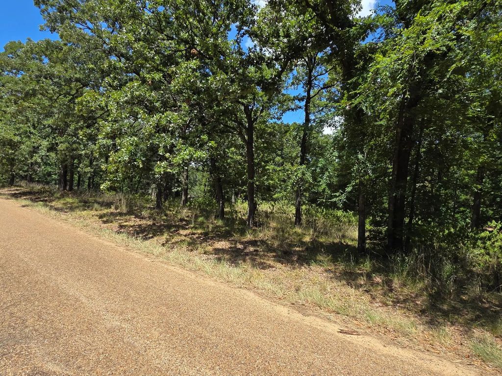 Hickory Street Lot 89, Mabank