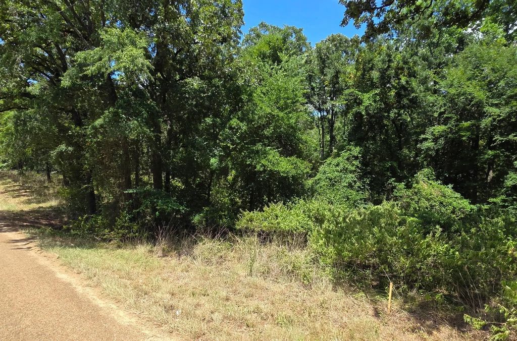 Hickory Street Lot 90, Mabank