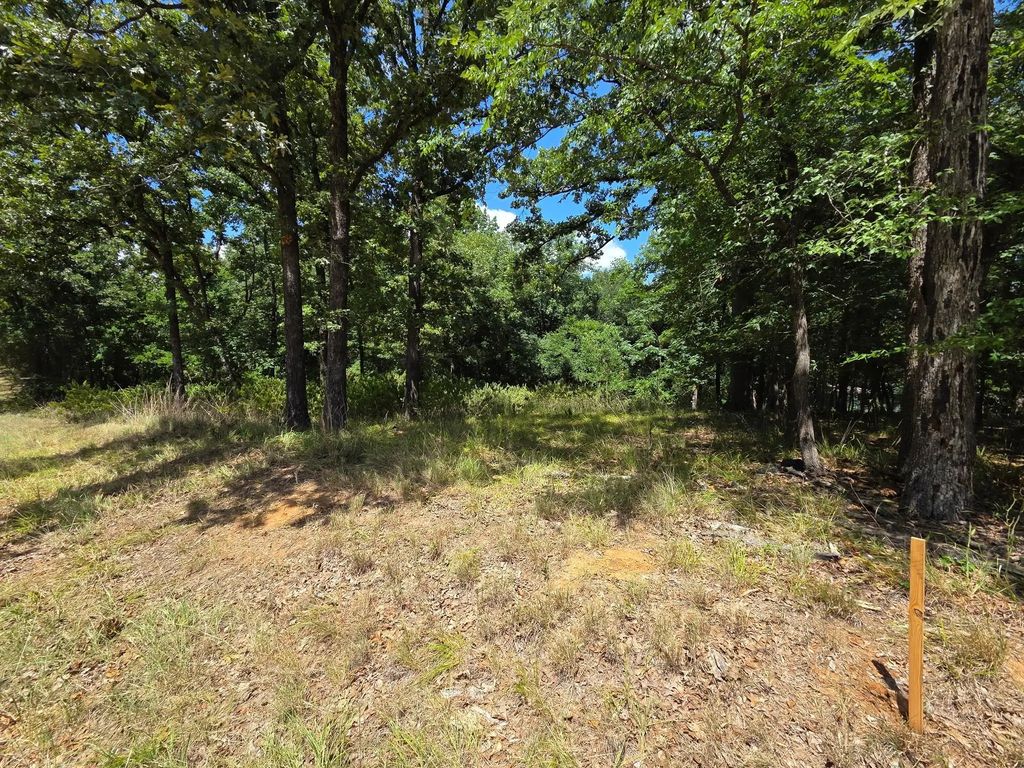 Hickory Street Lot 91, Mabank