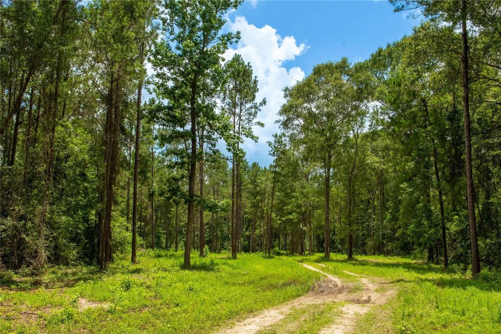 Cr 547, Kirbyville