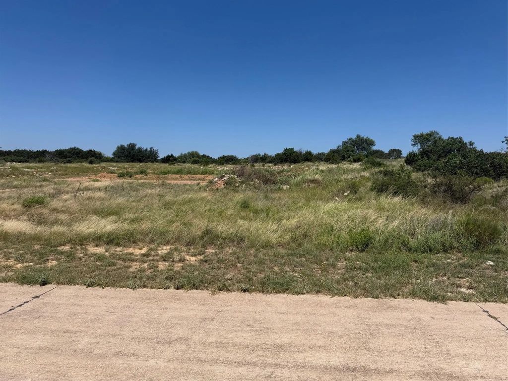217r Oak Tree Dr, Graford