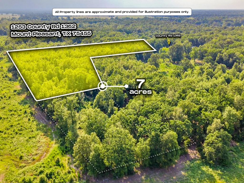 1253 County Road 1362, Mount Pleasant
