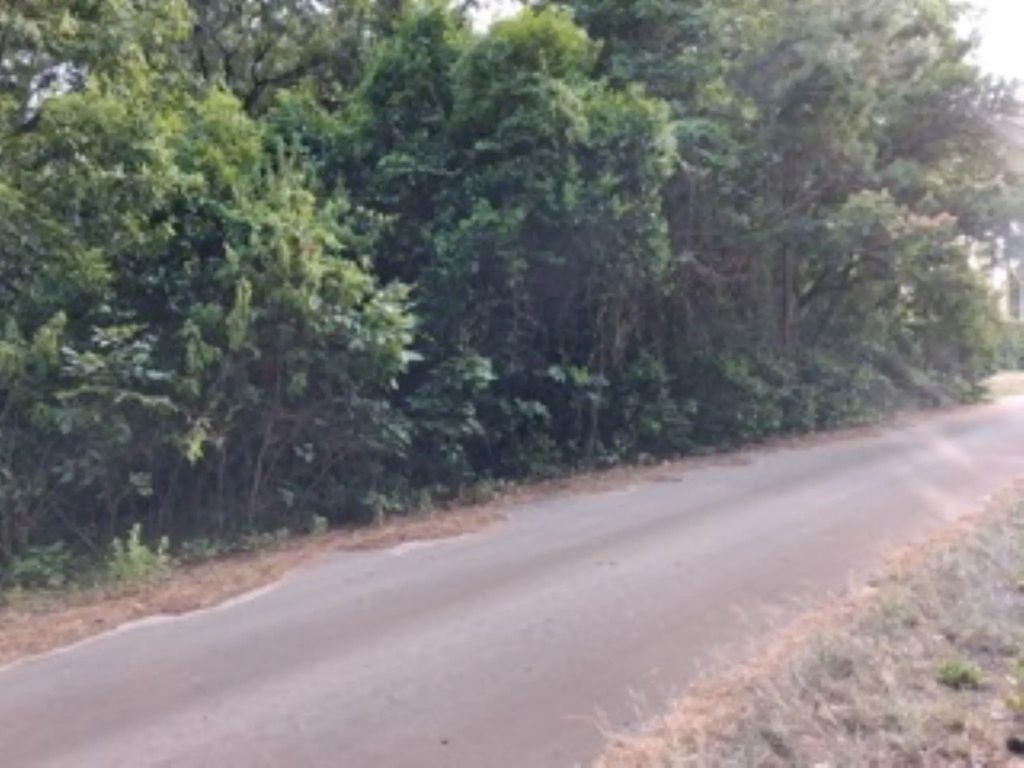 Tbd Chapparal Run, Murchison