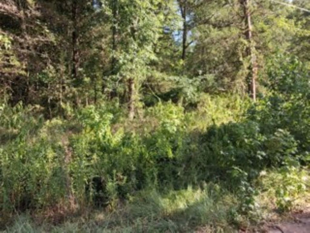 Dogwood Drive, Murchison