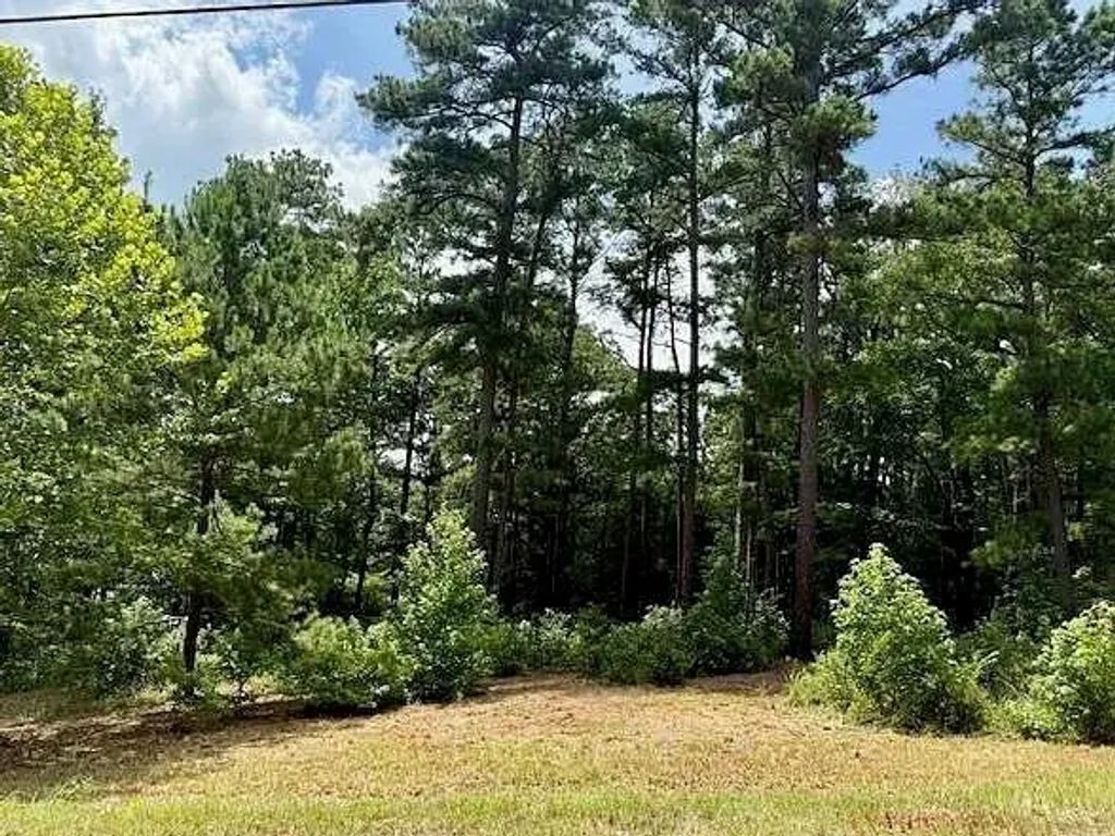16203 County Road 436, Lindale