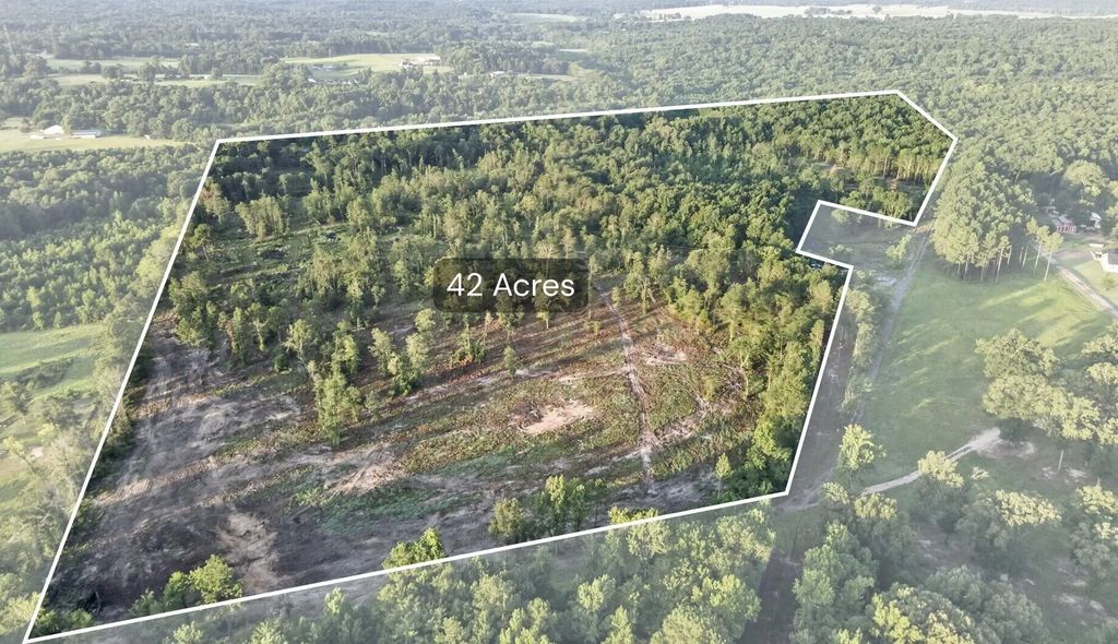 Tbd 42 Acres Cr 3116, Winona