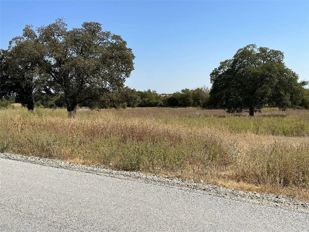 1010 Gonzollas Road, Springtown