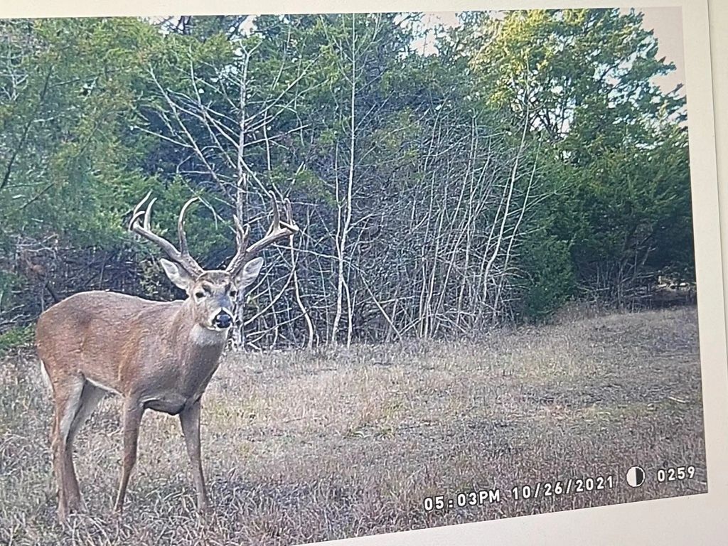 Cr 2374, Detroit