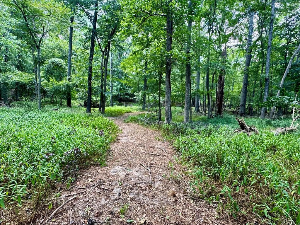 2133 Holly Trail E, Holly Lake Ranch