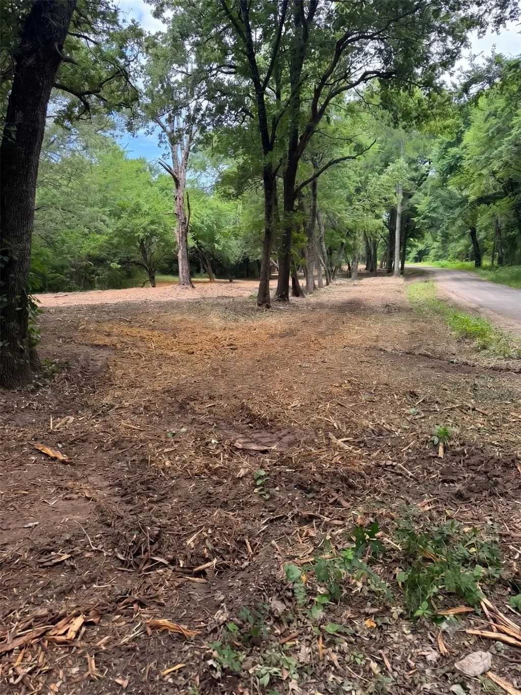 Lot 4 County Road 3562, Dike