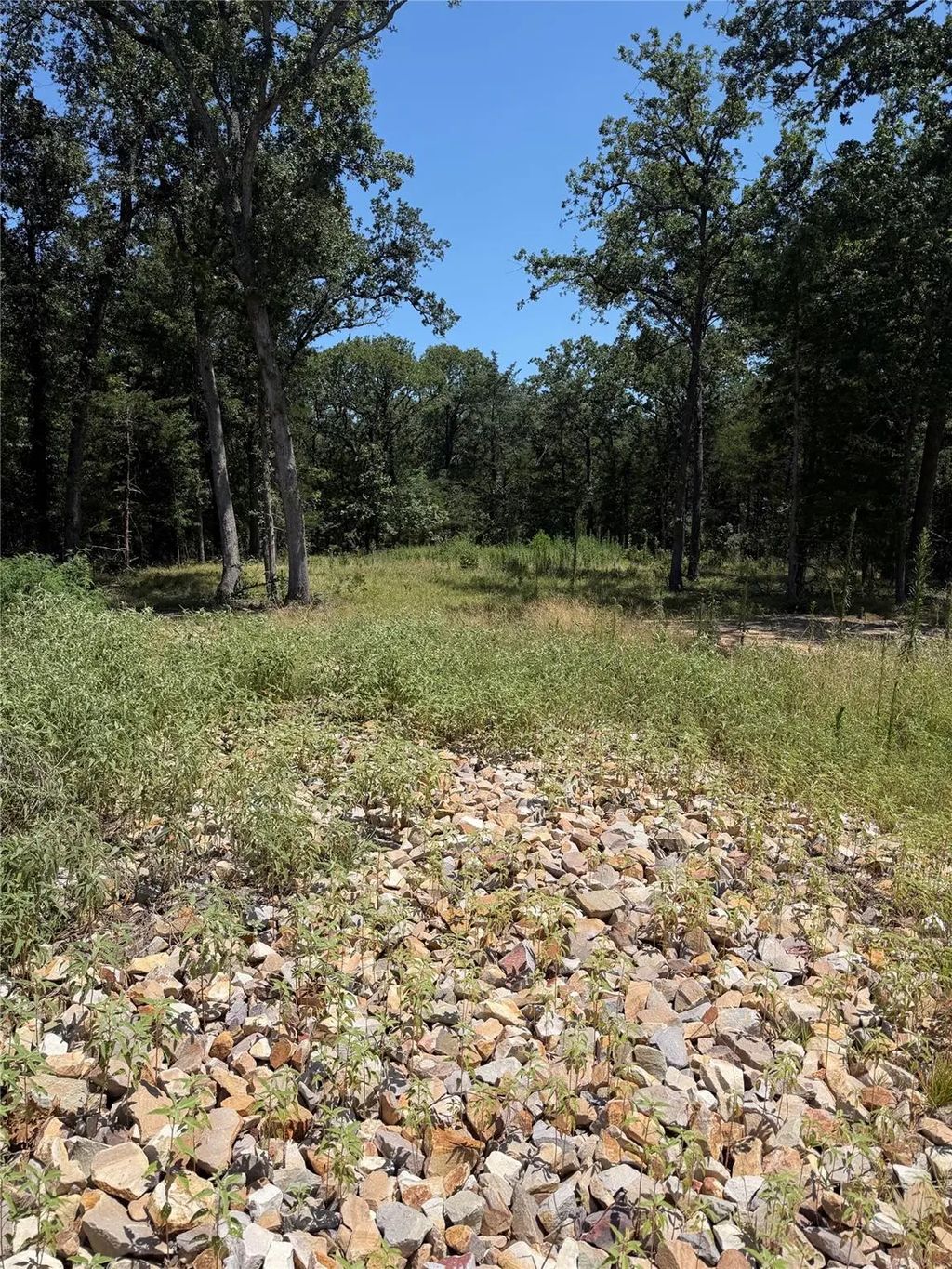 7310 Fm 1567, Lone Oak