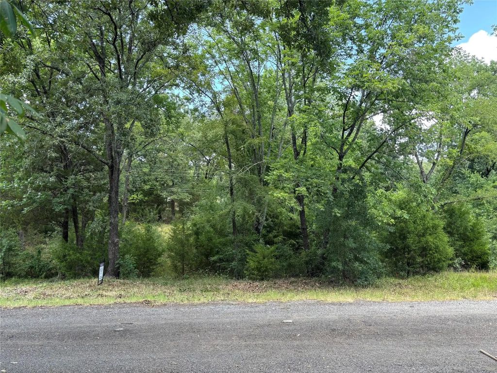 6132 Tejas Drive, Mabank