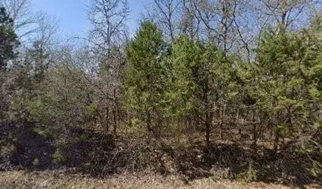 6210 Texas Trail, Granbury