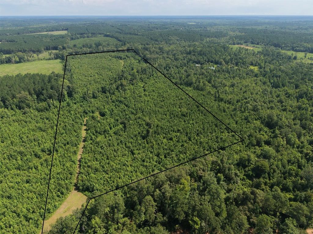 County Road 2339, Marietta