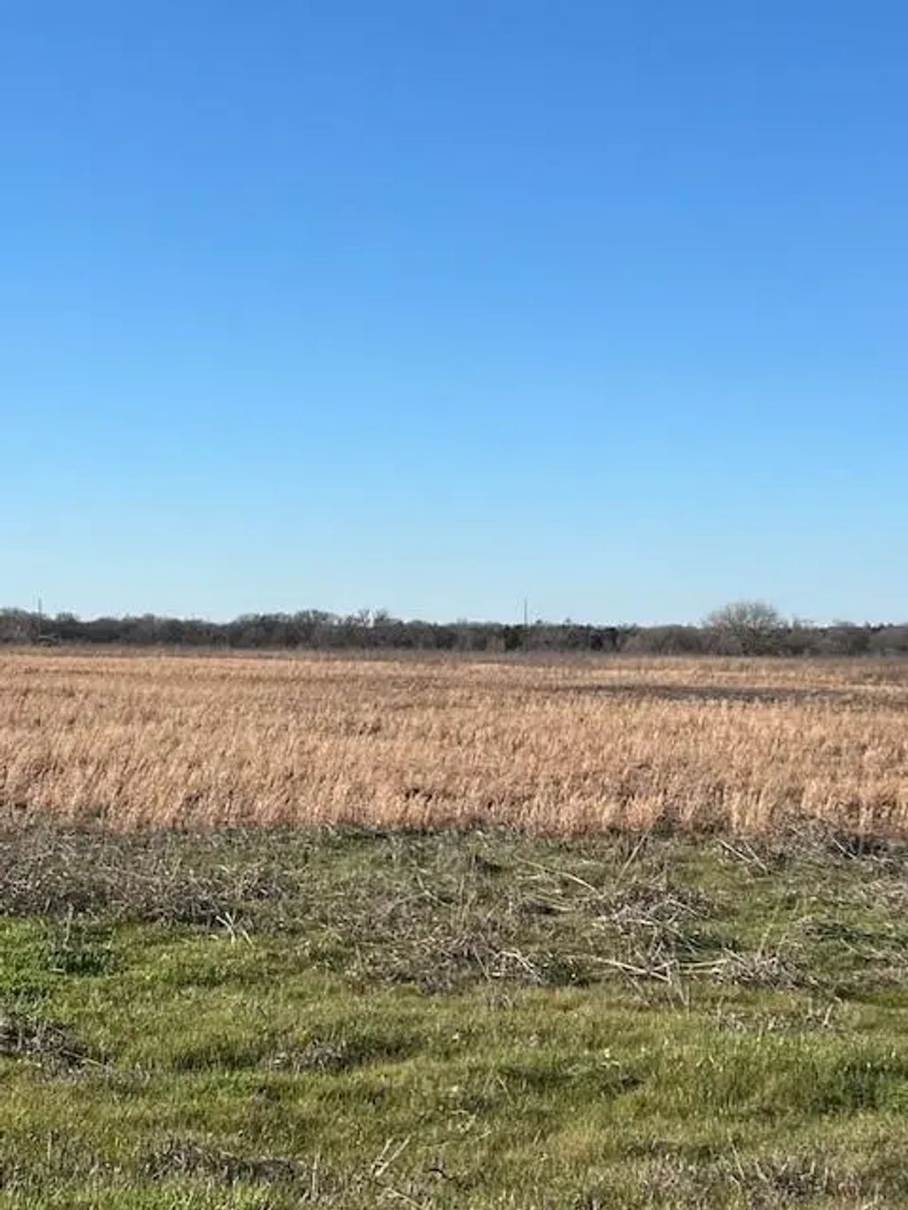 Tbd County Road 1240, Savoy