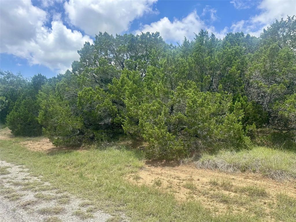 25058 Forrest Drive, Whitney