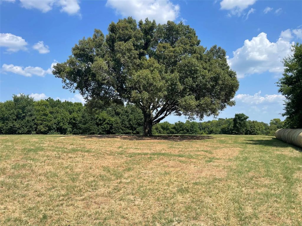 Tbd Vz County Road 2316, Canton