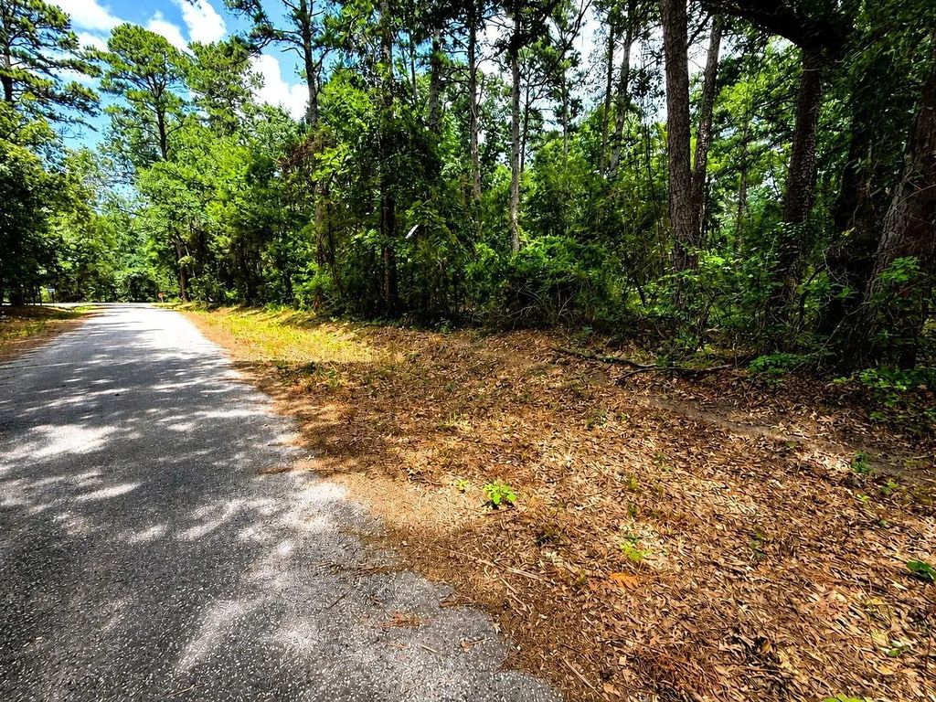 Tbd Lot 4 County Road 4557, Winnsboro