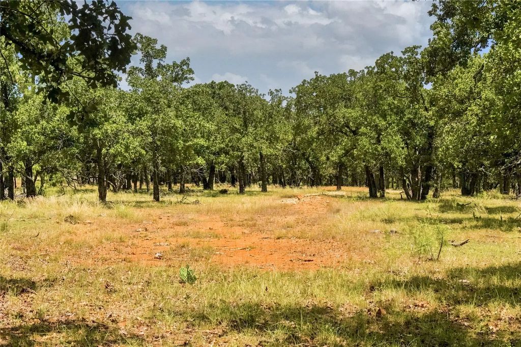 16.5 Acres Burwick Road, Jacksboro