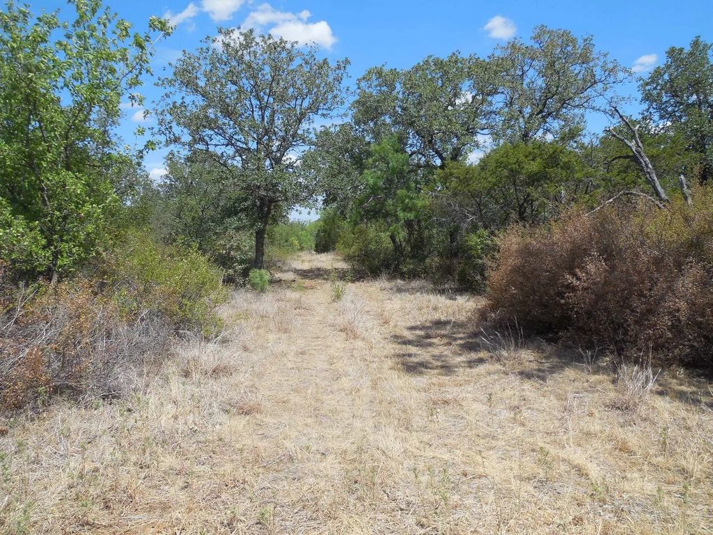 Tbd 10 Acres Cr 136, Ranger