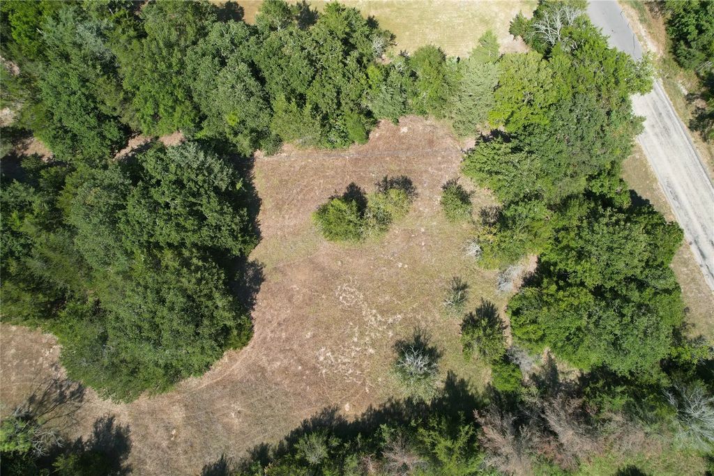 9373 Green Branch Loop, Bryan