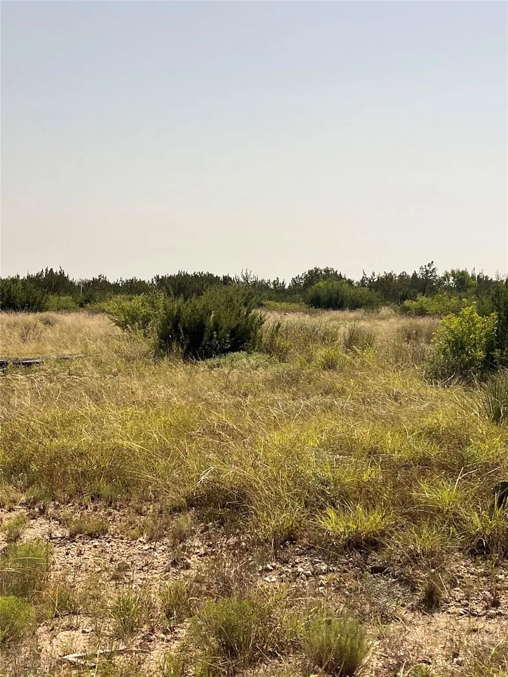 21009 Frank Road, Paint Rock