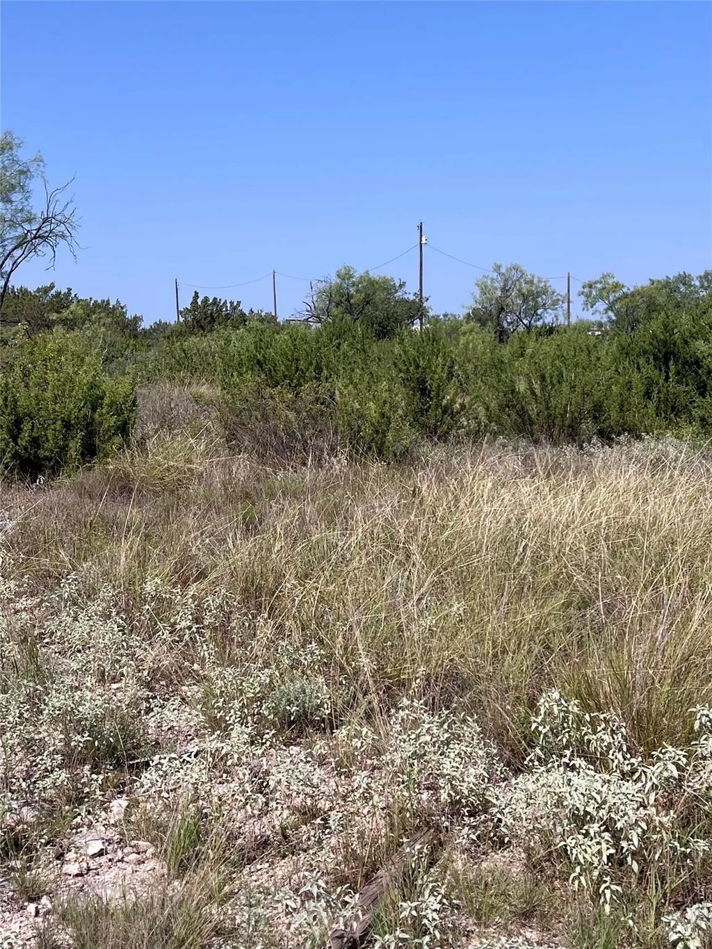 21008 Frank Road, Paint Rock