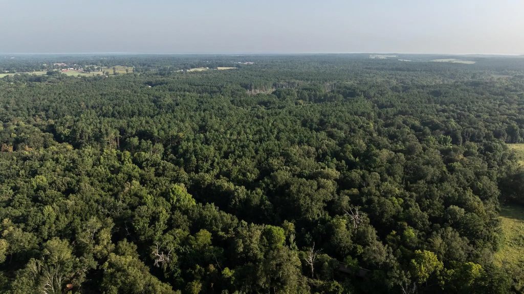 Tbd Cr 461, Laneville