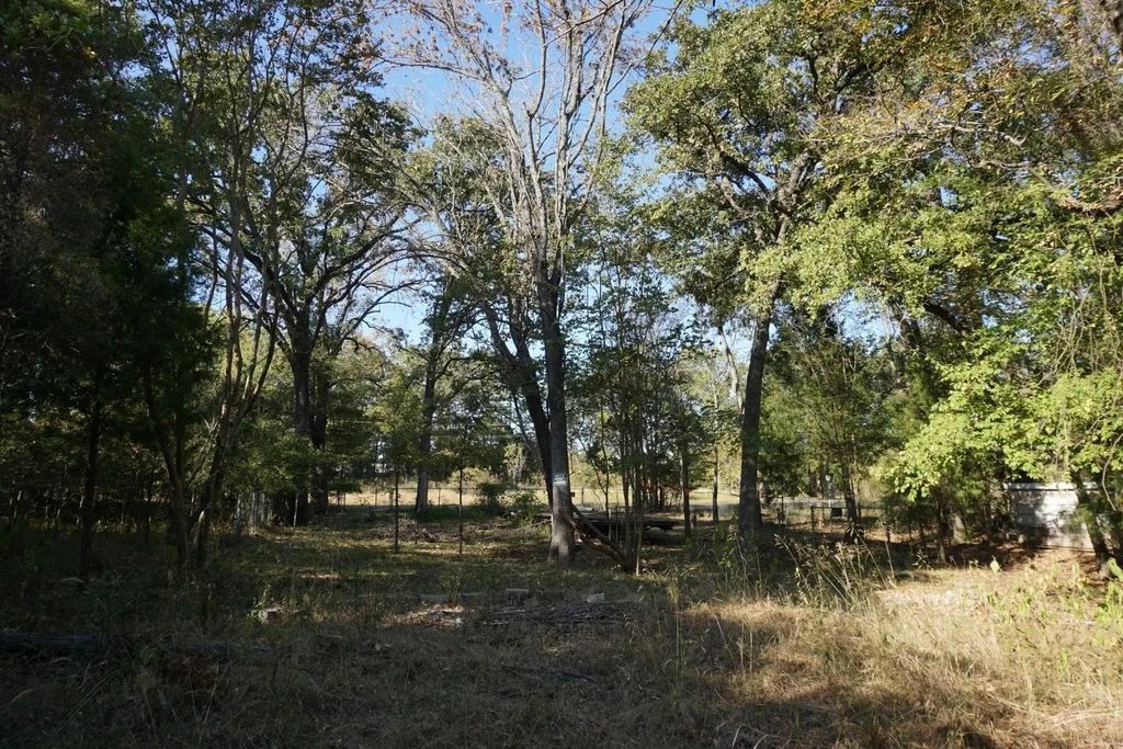1714 Doc Holiday, Log Cabin