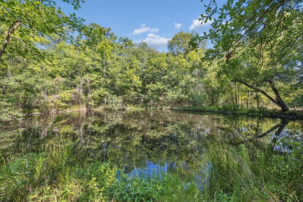 Hare Lane 6 Acre, Greenville
