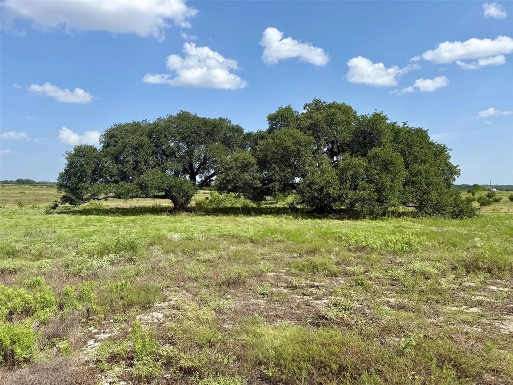 13ac Tbd Pr Fm 2905, Hamilton