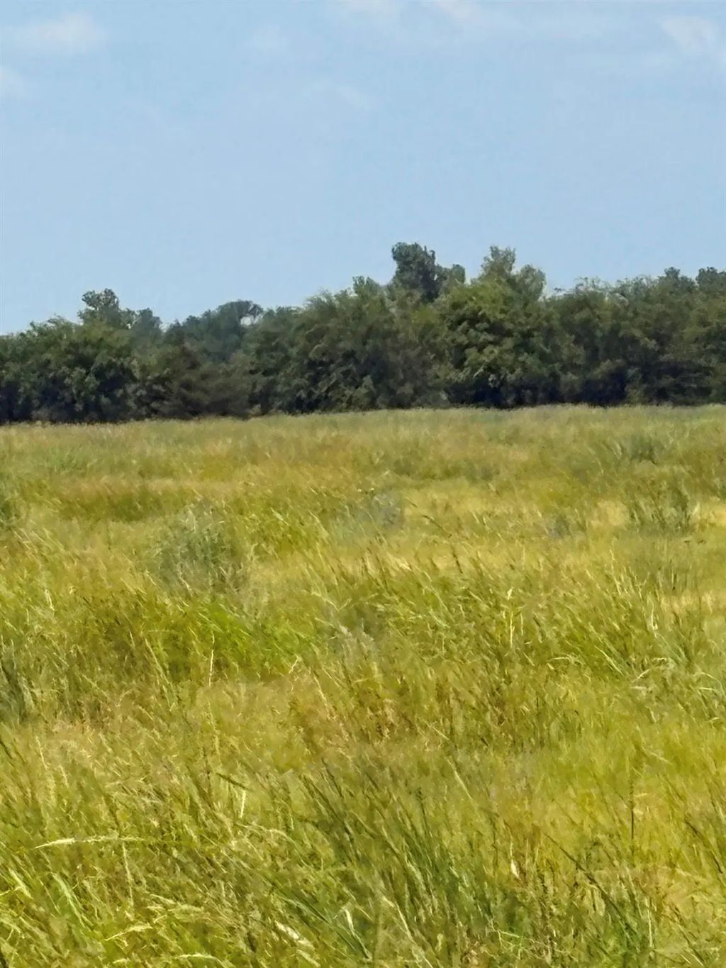 Tbd County Road 3020, Bonham