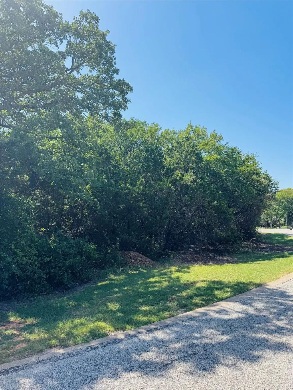 24019 Wood Hollow Drive, Whitney