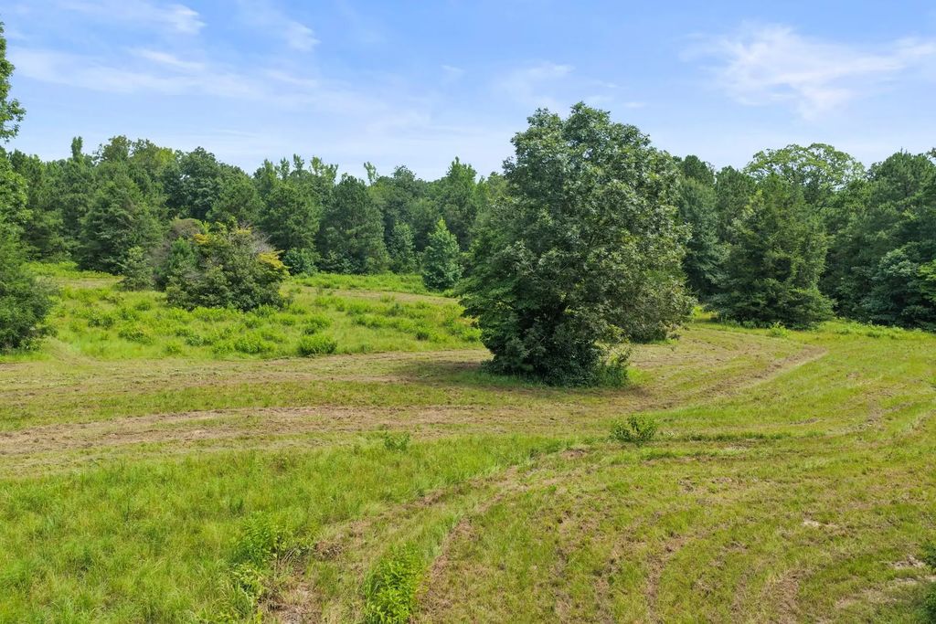 1381 County Road 1763, Linden