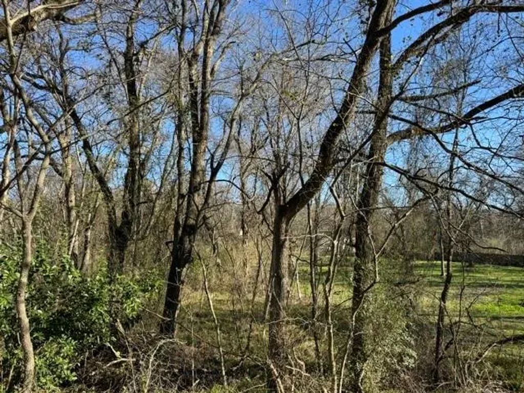 Maple, Gun Barrel City