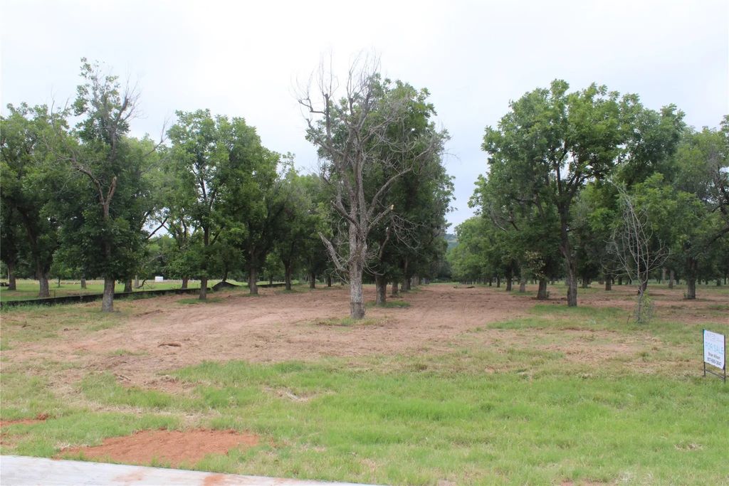 3173 E Landings S, Granbury
