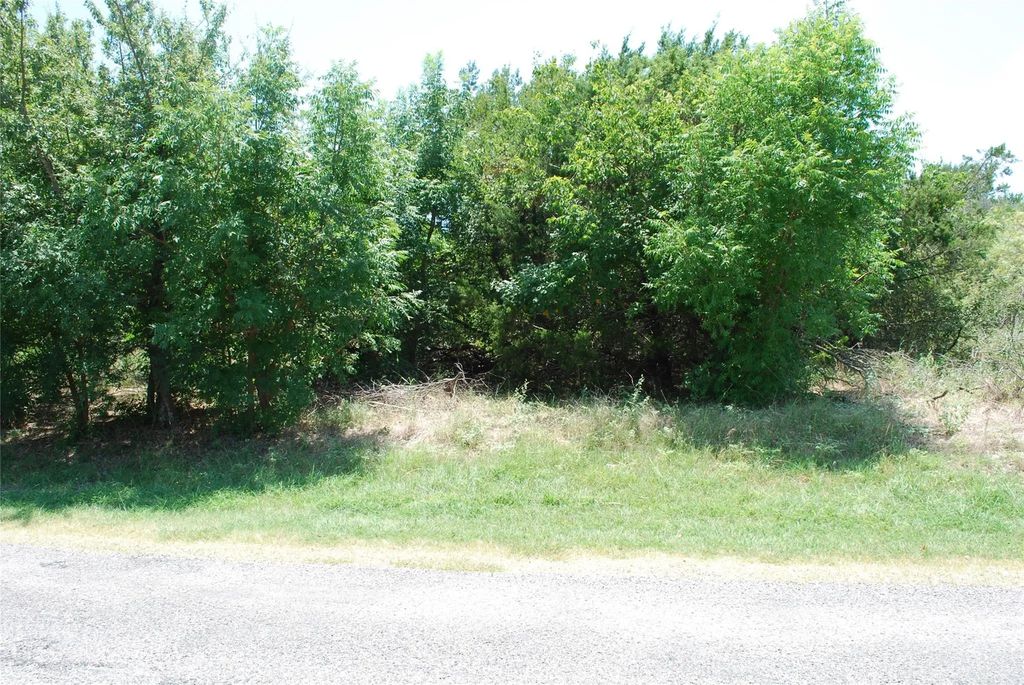 1413 Lakeside Trail, Whitney