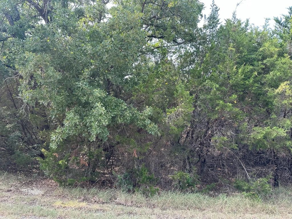 18038 & 18039 Southhill Drive, Whitney