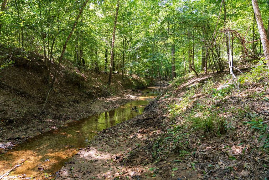 Tom Eubanks Rd, Gladewater