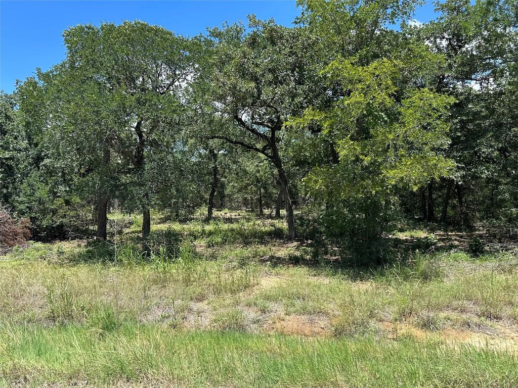Tbd Hill County Road 1248, Whitney