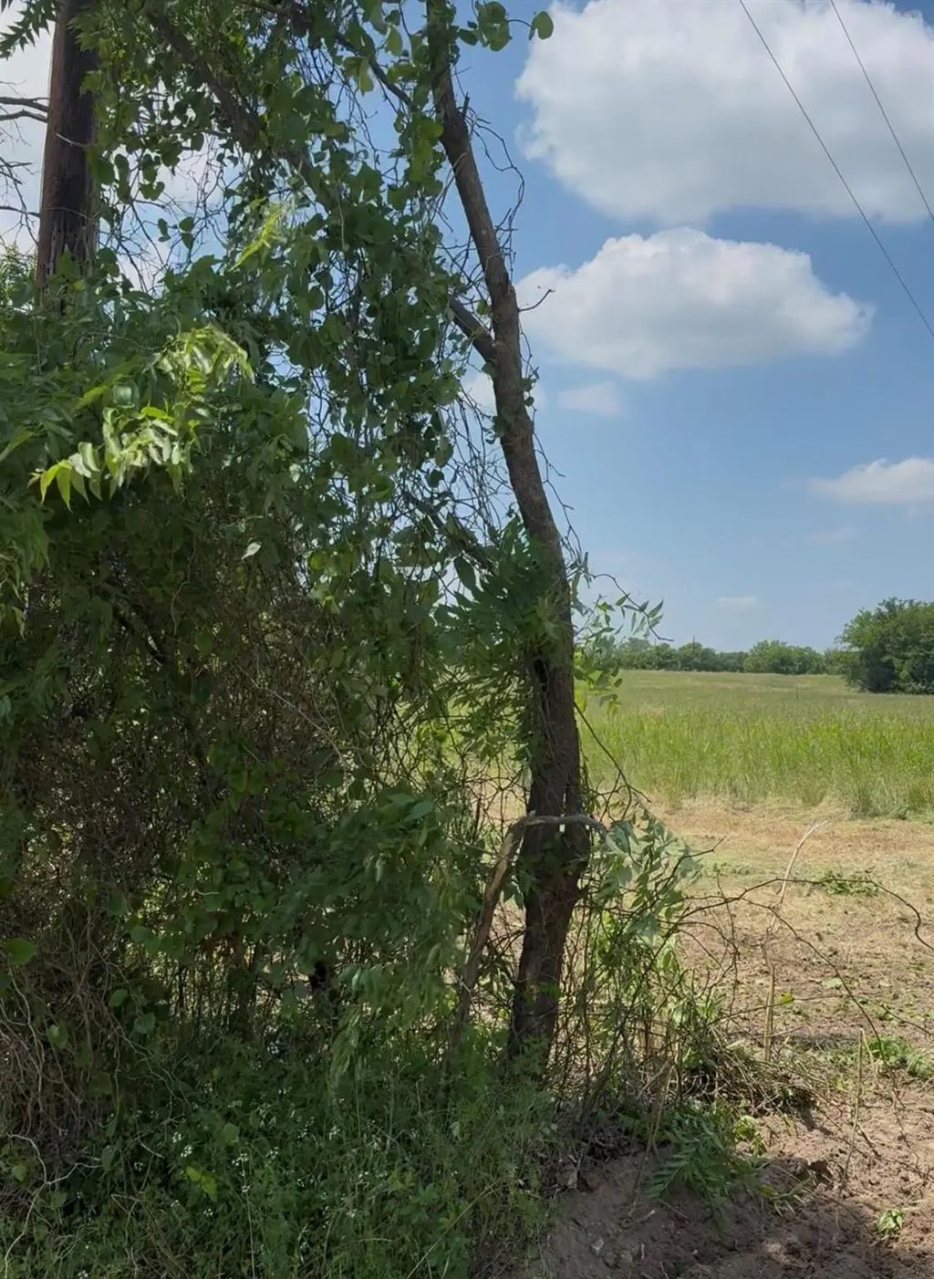 Lot 1 County Road 308, Terrell