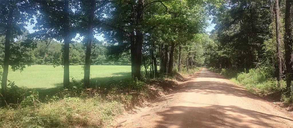 381 County Road 4688, Tenaha