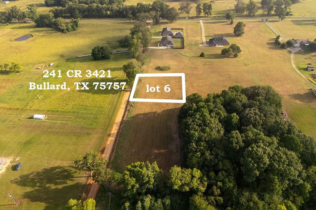 241 County Road 3421 (lot 6), Bullard