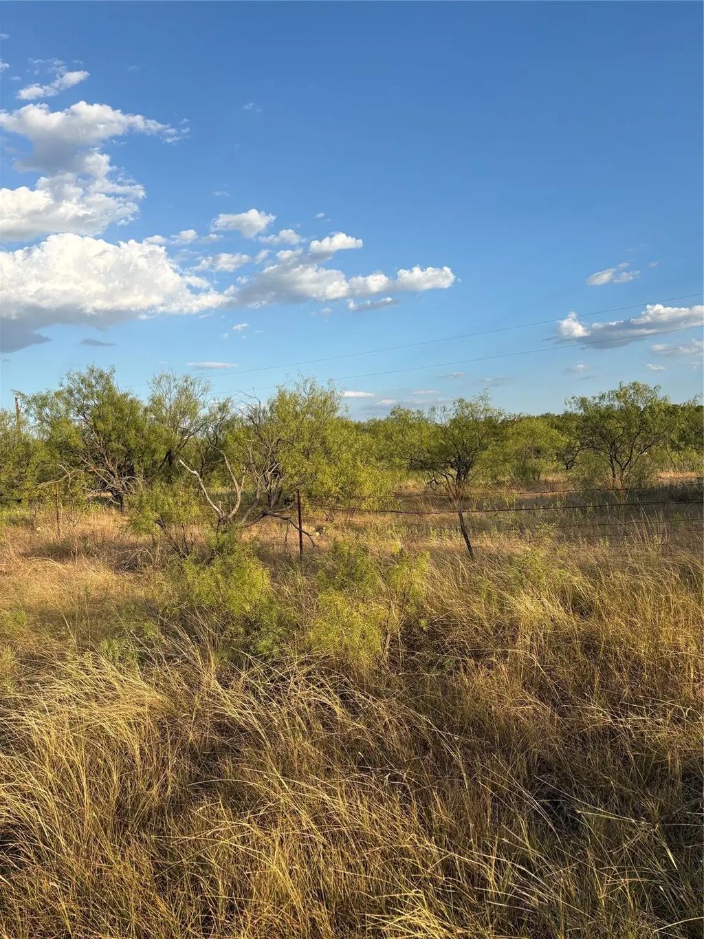 271 Wyatt Road, Jacksboro