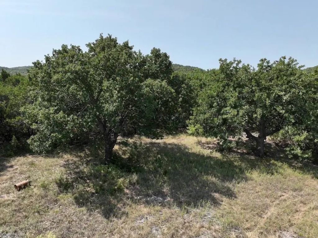1093 Lemons Gap Road, Tuscola