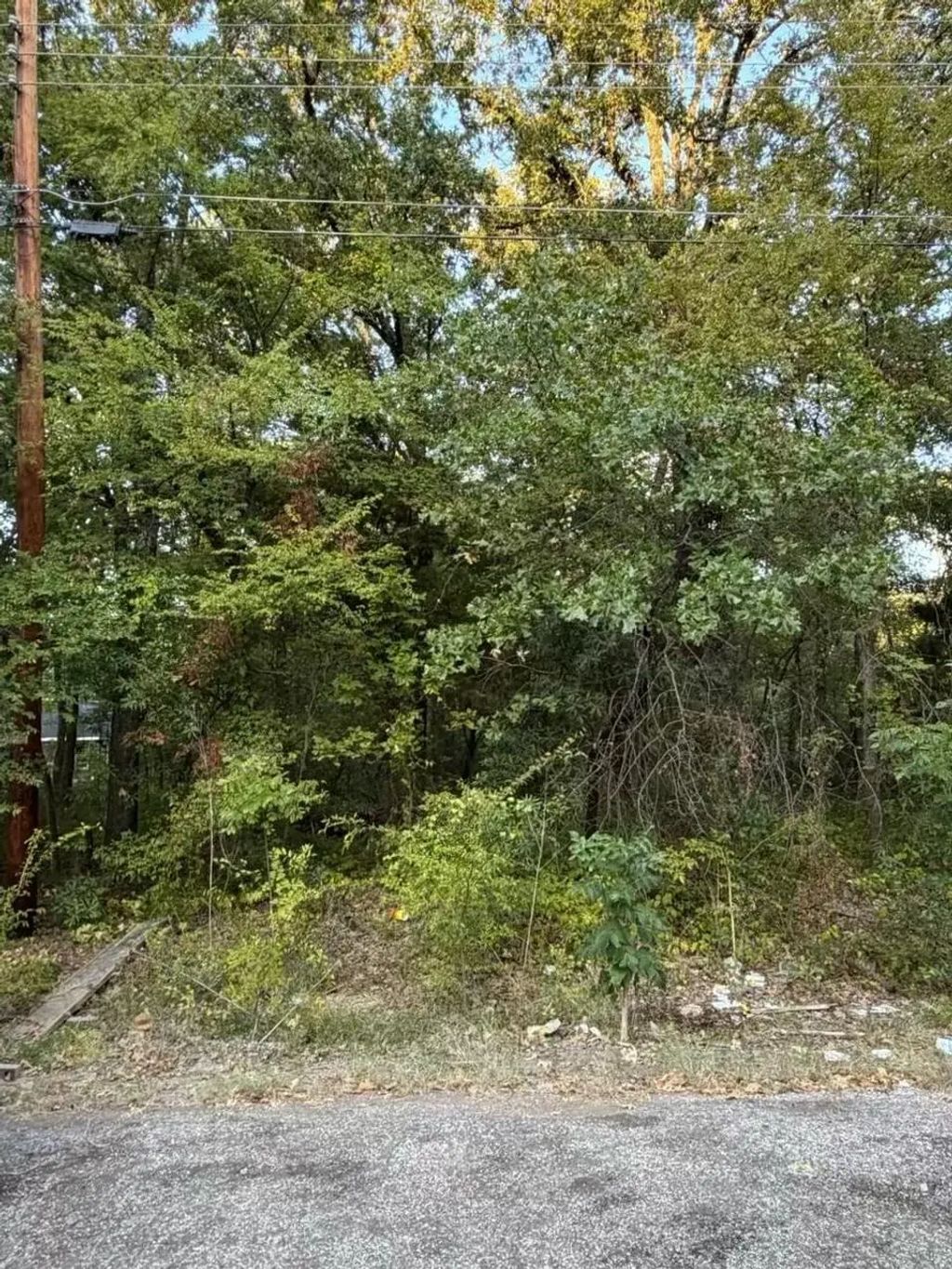 132 Chapperall Drive, Mabank