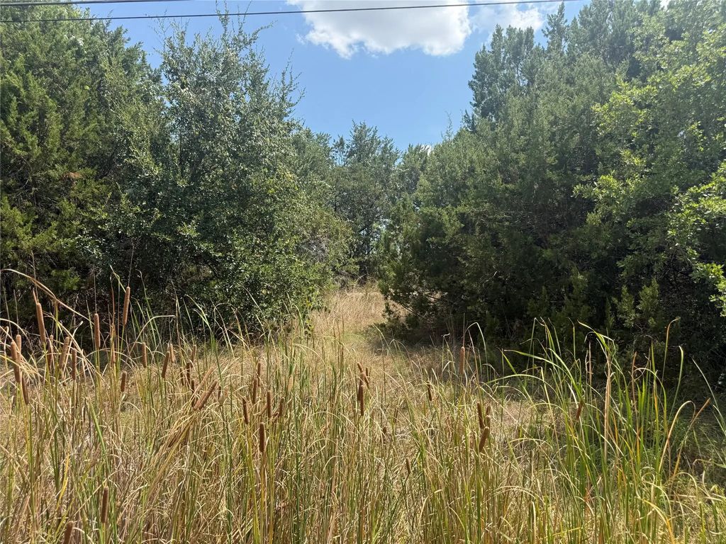 817 Pawnee Trail, Granbury