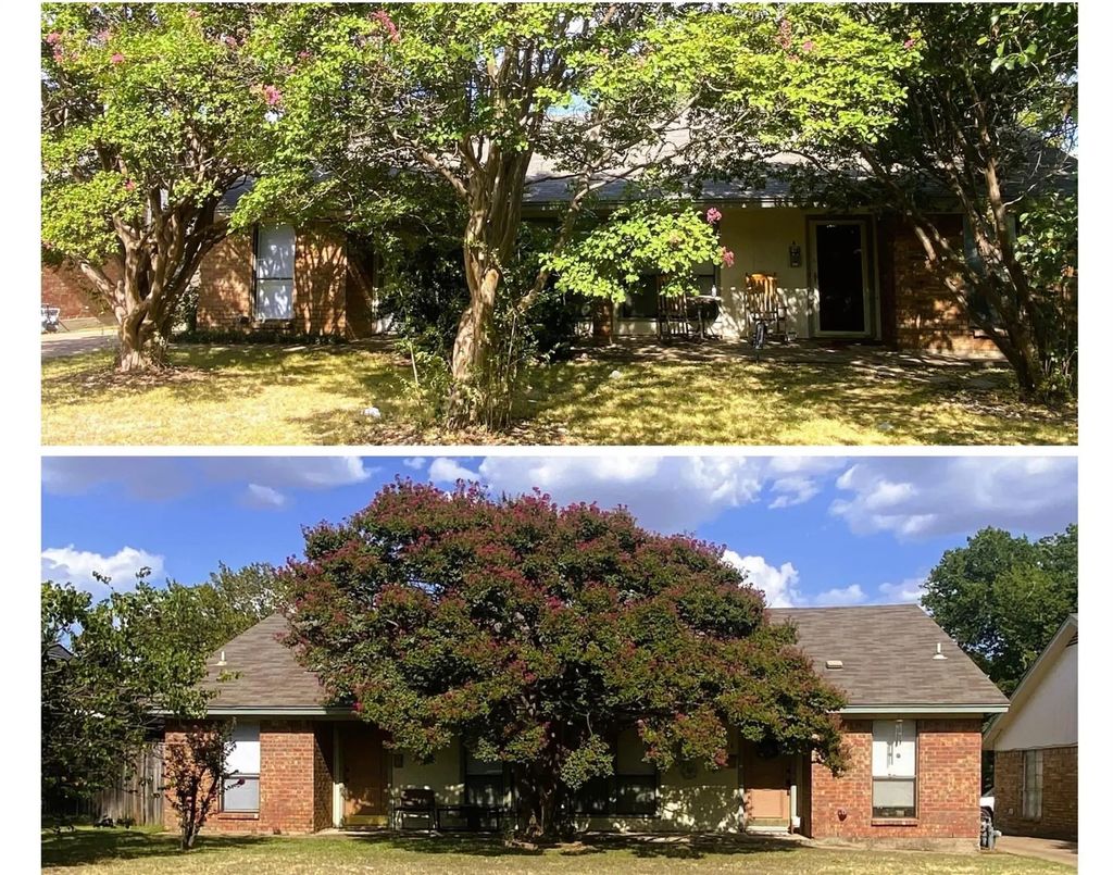 1105 Park Street A & B, Arlington