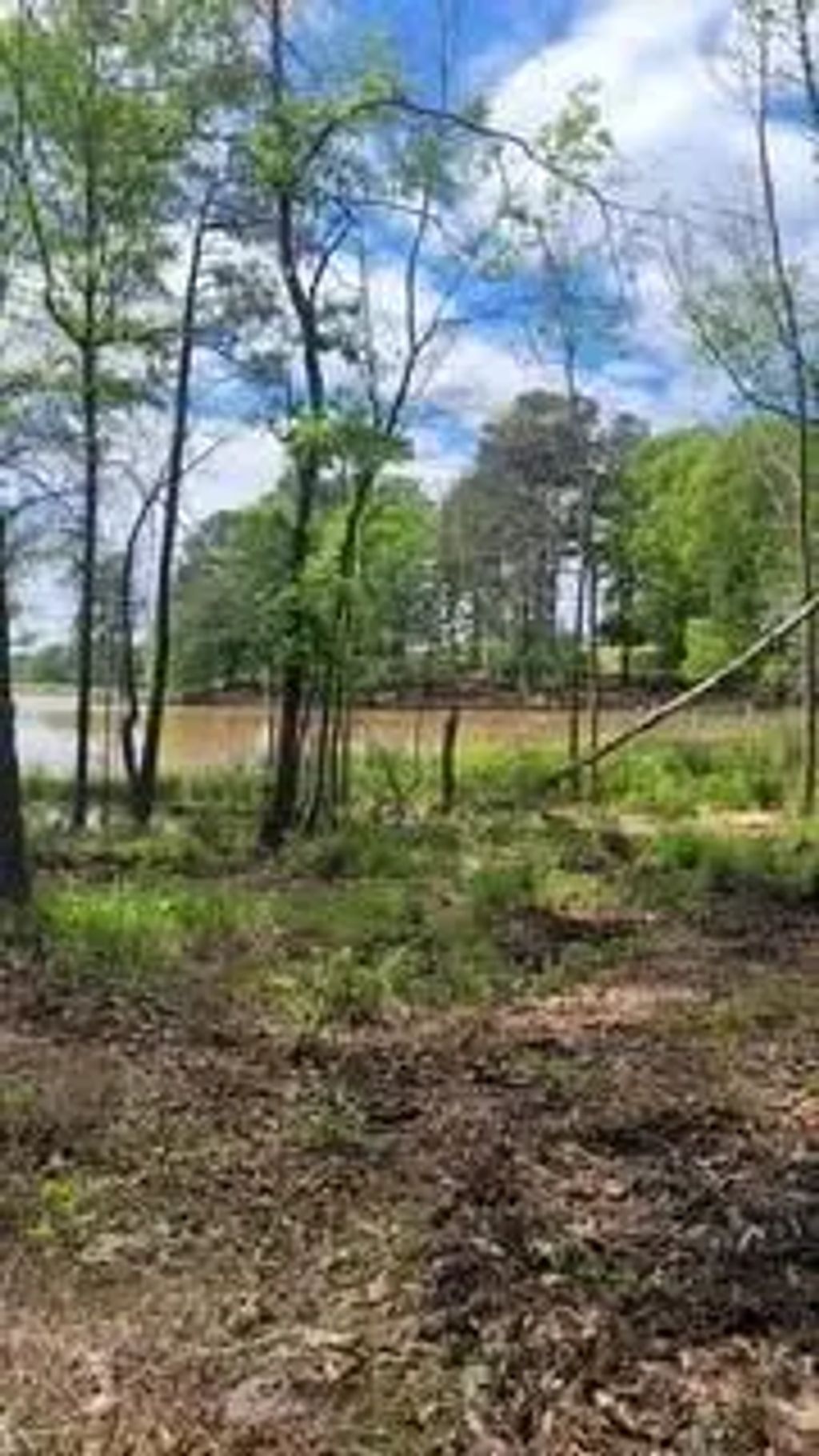 Lot 54 White Oak Creek Ranch, Big Sandy