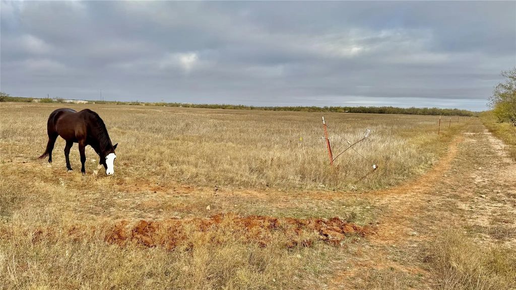 Tbd Iberis Road, Abilene